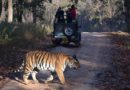 4 Days Golden Triangle with Ranthambore Tiger Tour